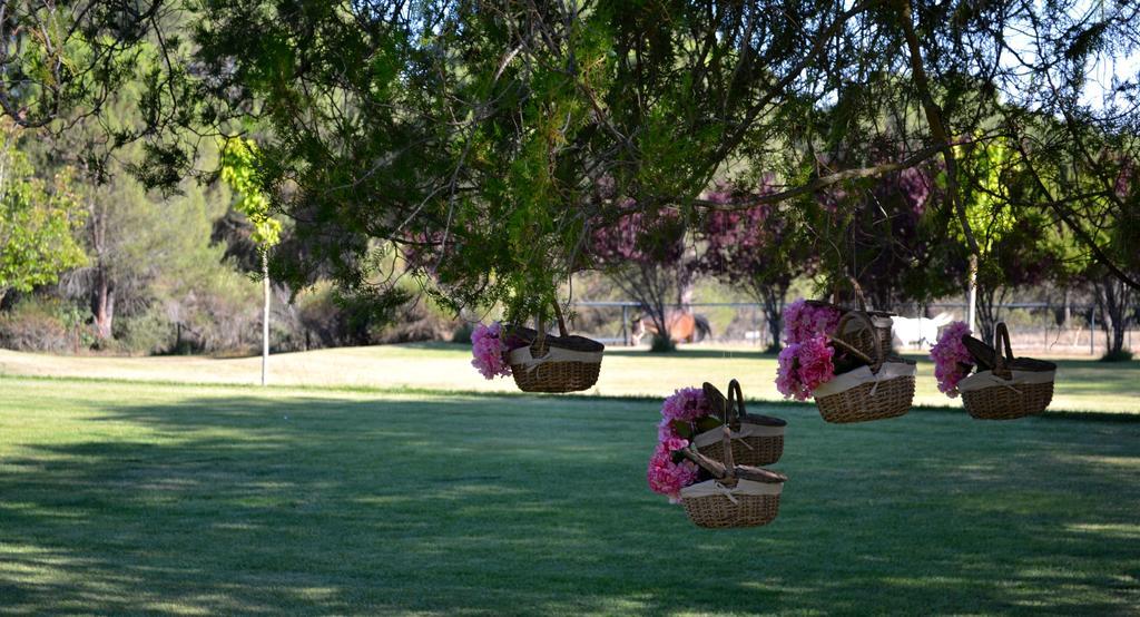 Posada Real Del Pinar Pozal De Gallinas ภายนอก รูปภาพ