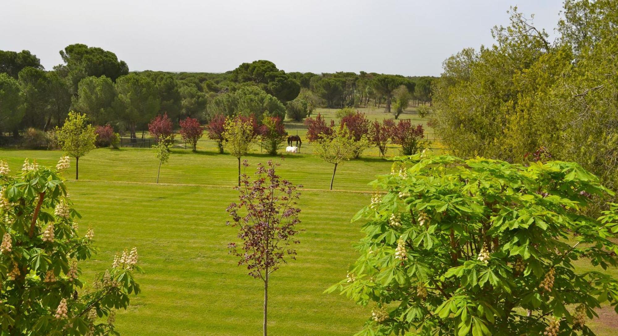 Posada Real Del Pinar Pozal De Gallinas ภายนอก รูปภาพ