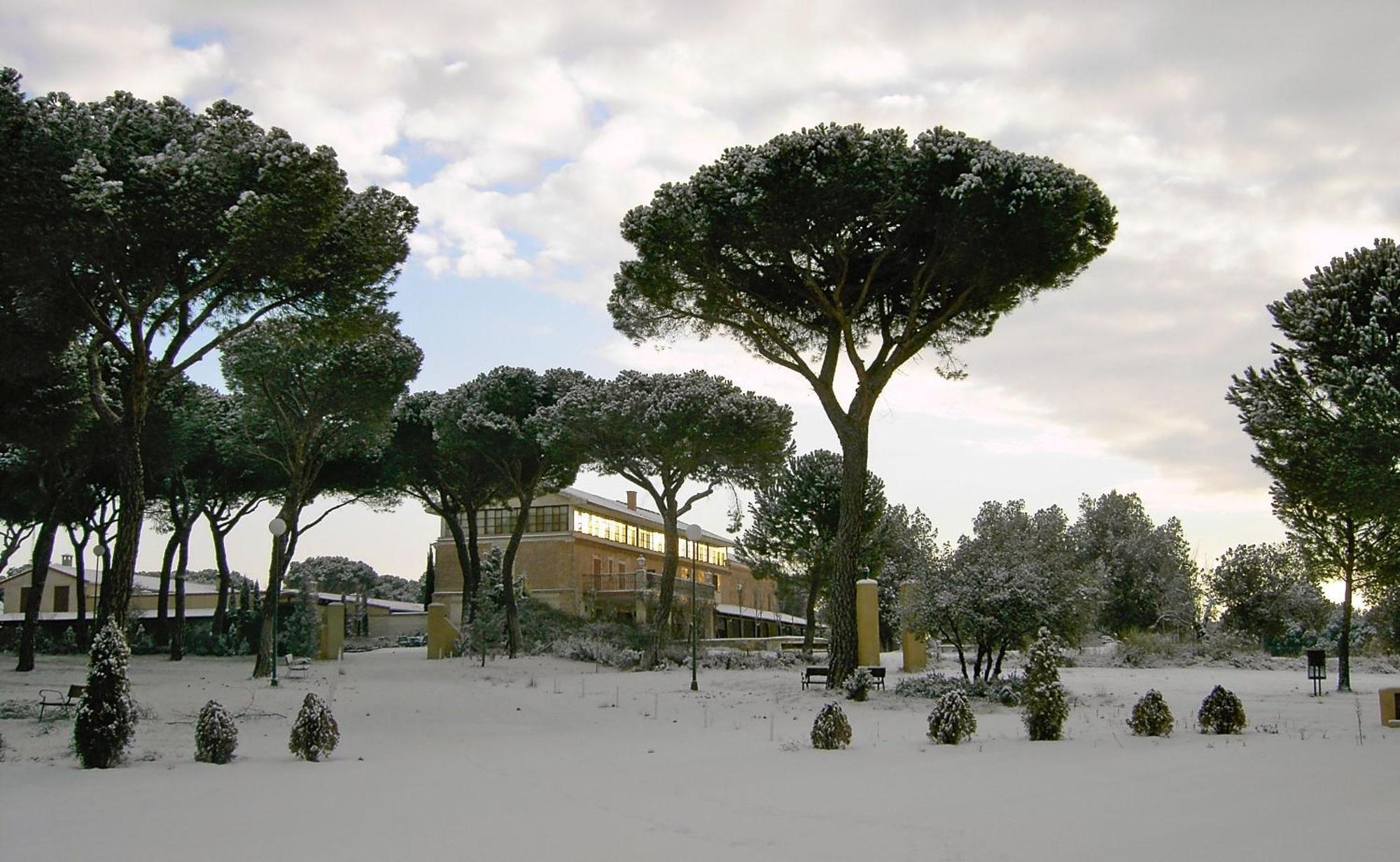 Posada Real Del Pinar Pozal De Gallinas ภายนอก รูปภาพ