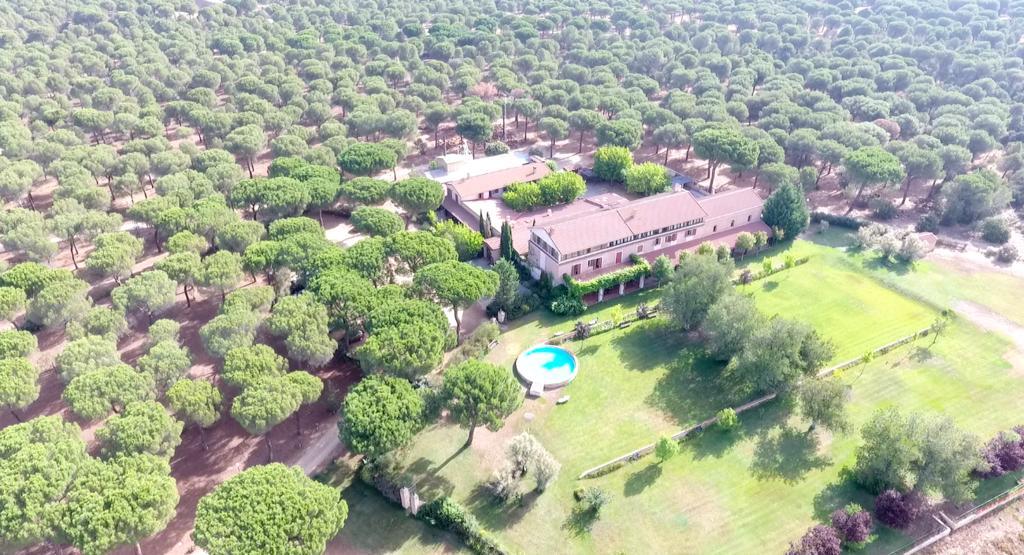 Posada Real Del Pinar Pozal De Gallinas ภายนอก รูปภาพ