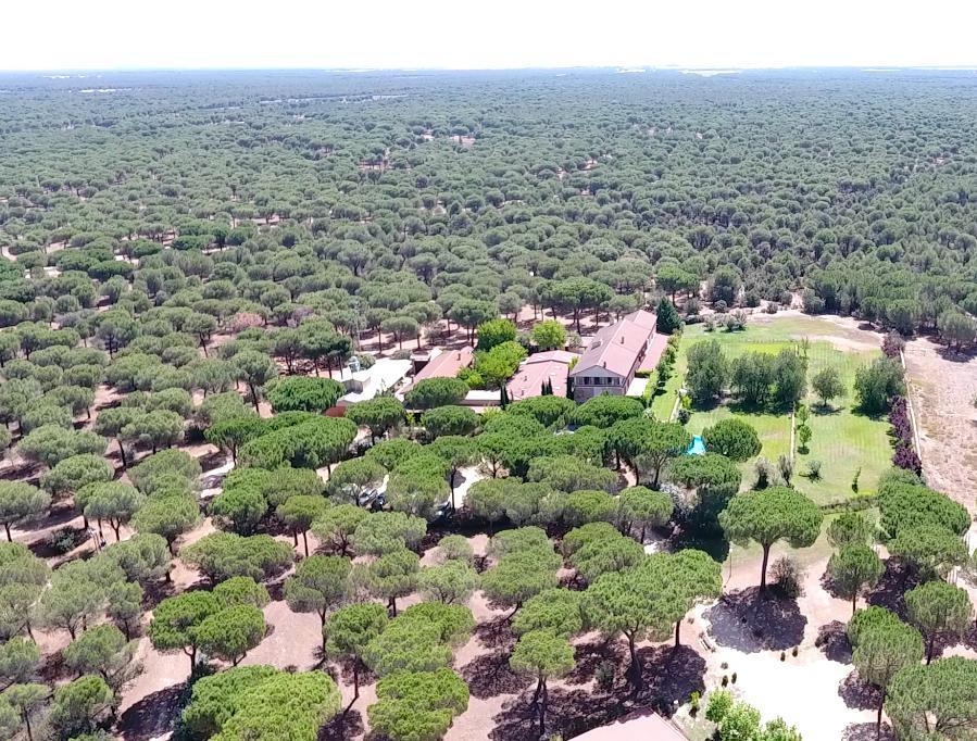 Posada Real Del Pinar Pozal De Gallinas ภายนอก รูปภาพ